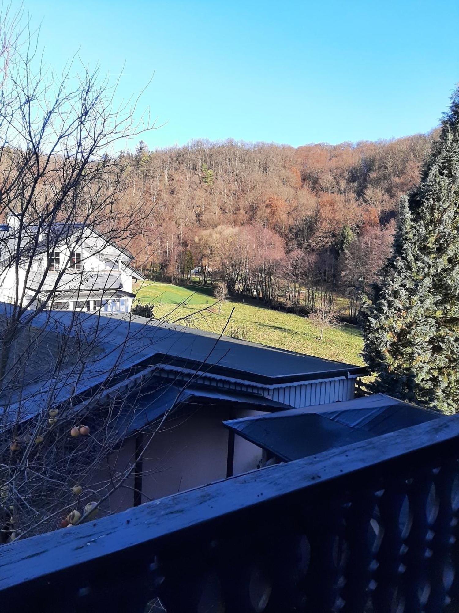 Ferienwohnung Bergblick Hallenberg Exterior photo