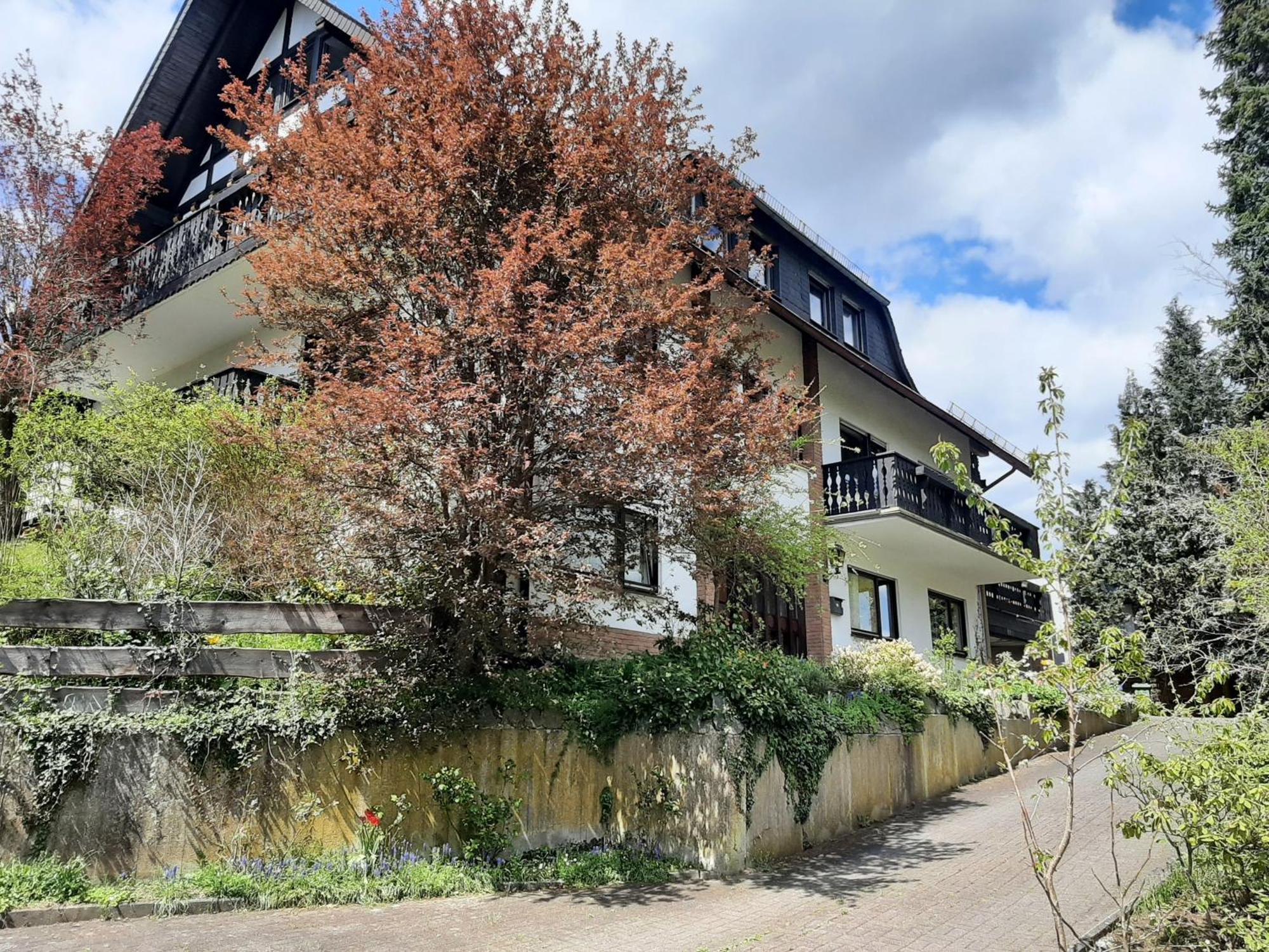 Ferienwohnung Bergblick Hallenberg Exterior photo